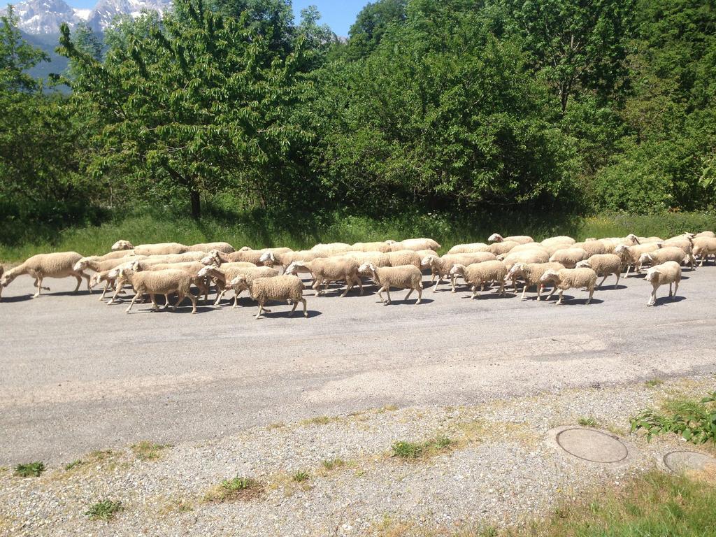 Au Fil Des Saisons Panzió Les Cotes de Corps Kültér fotó